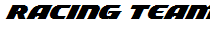 Racing Team Personal Used
